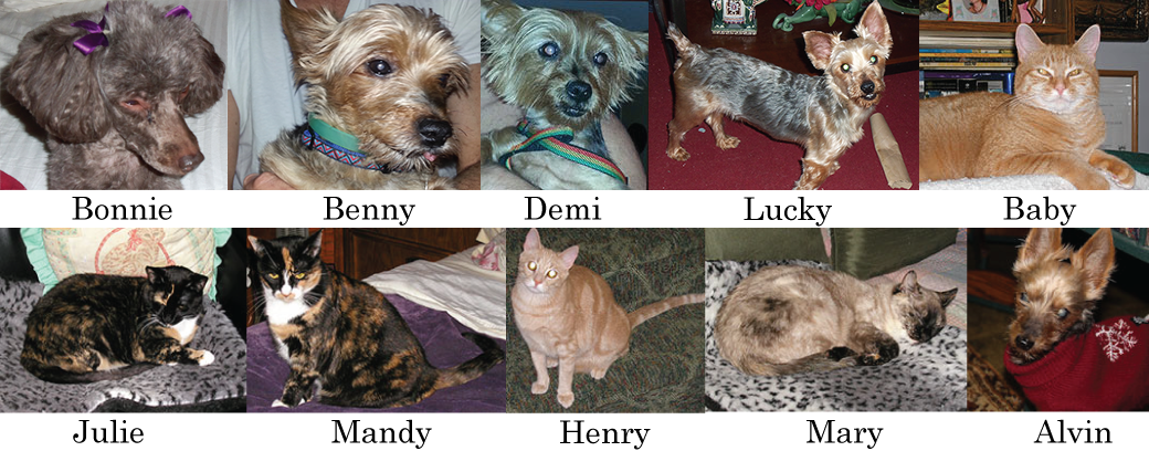 Mobile-reswcue-pets